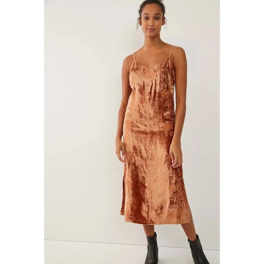 Anthropologie Lucie Embroidered Velvet Slip Dress